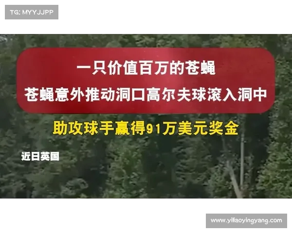 苍蝇意外助攻高尔夫球手逆袭夺冠赢得91万美元大奖 苍蝇意外助攻高尔夫球手逆袭夺冠赢得91万美元大奖